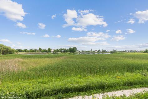 1369 Calamus Lane Grayslake IL 60030