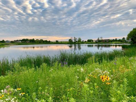 1369 Calamus Lane Grayslake IL 60030
