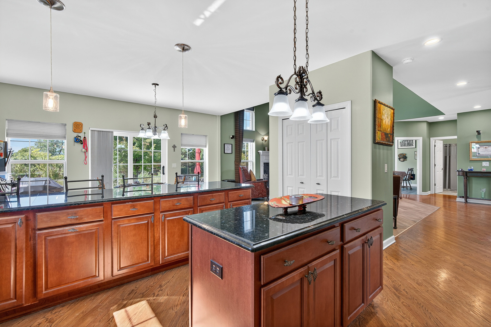 12820 Tipperary Lane Plainfield IL 60585