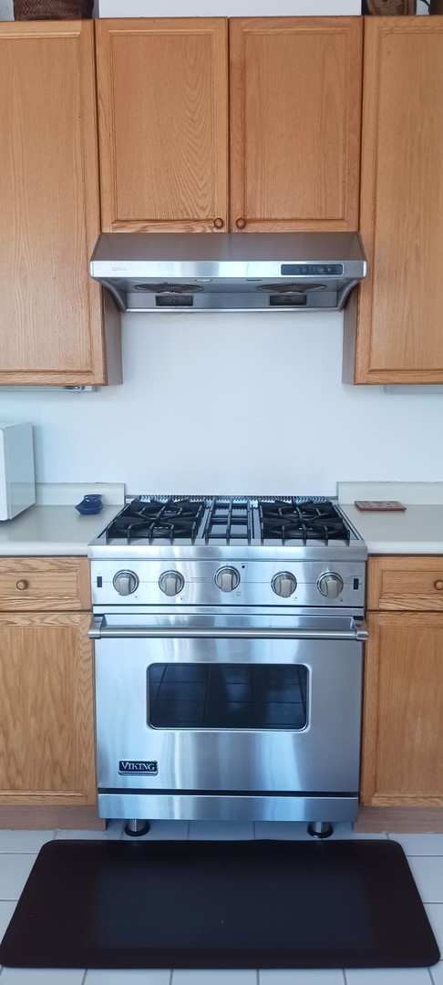 4922-B South Cornell Avenue Chicago IL 60615