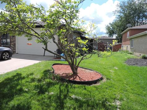 6931 Coachwood Trail Tinley Park IL 60477