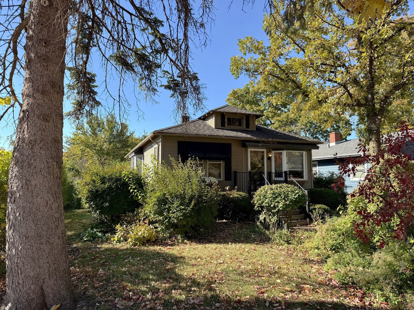 509 North Brainard Street Naperville IL 60563