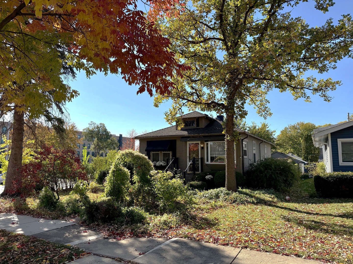 509 North Brainard Street Naperville IL 60563