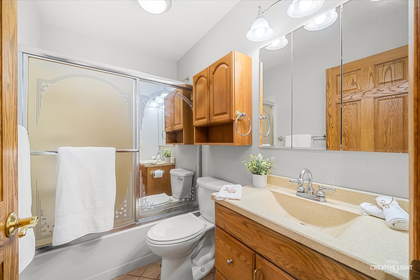 1117 Douglas Avenue Aurora IL 60505