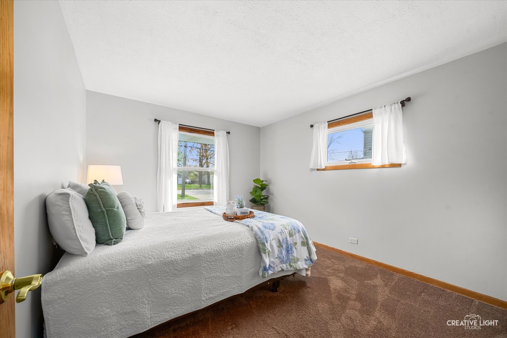 1117 Douglas Avenue Aurora IL 60505