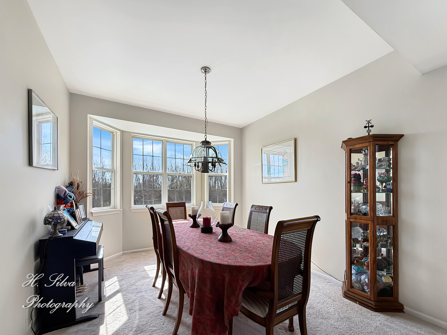 3776 Sonoma Circle Lake In The Hills IL 60156