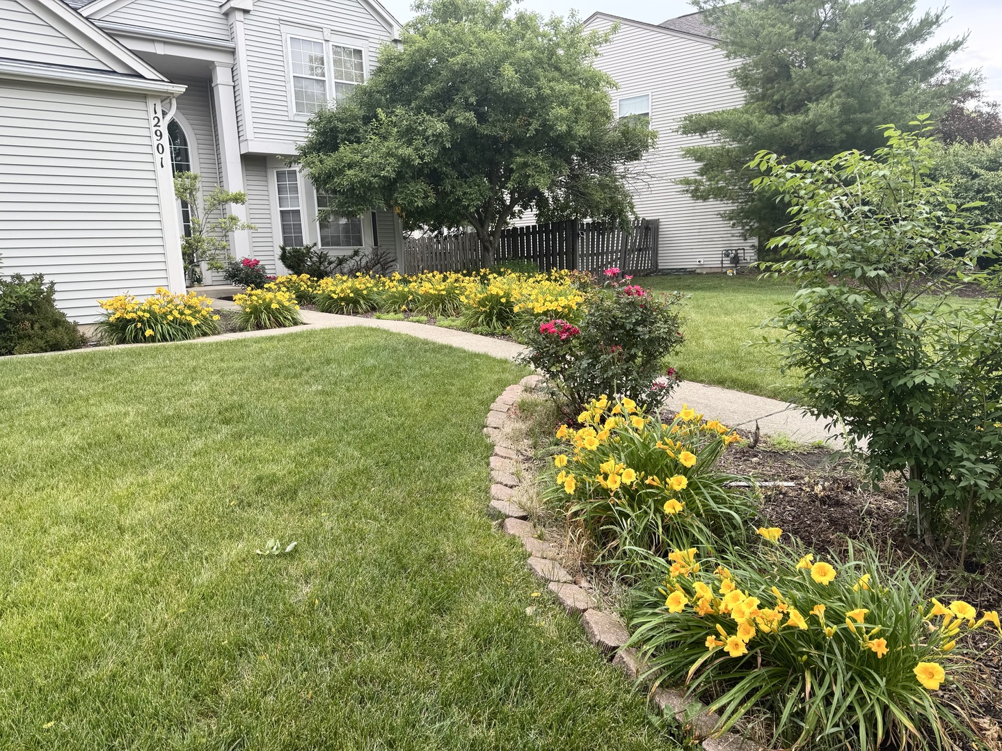 12901 Norwich Street Plainfield IL 60585