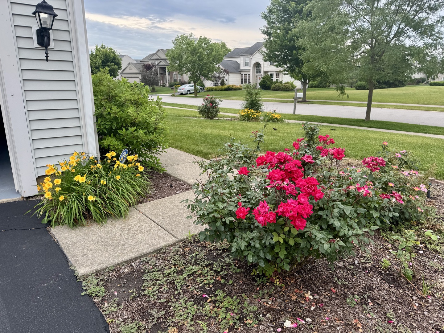 12901 Norwich Street Plainfield IL 60585