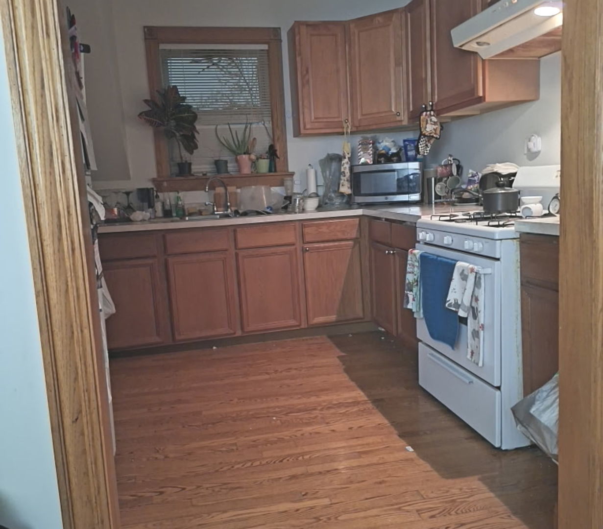 6541 South Carpenter Street Chicago IL 60621