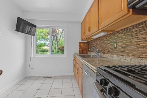 1534 Palmgren Drive Glenview IL 60025