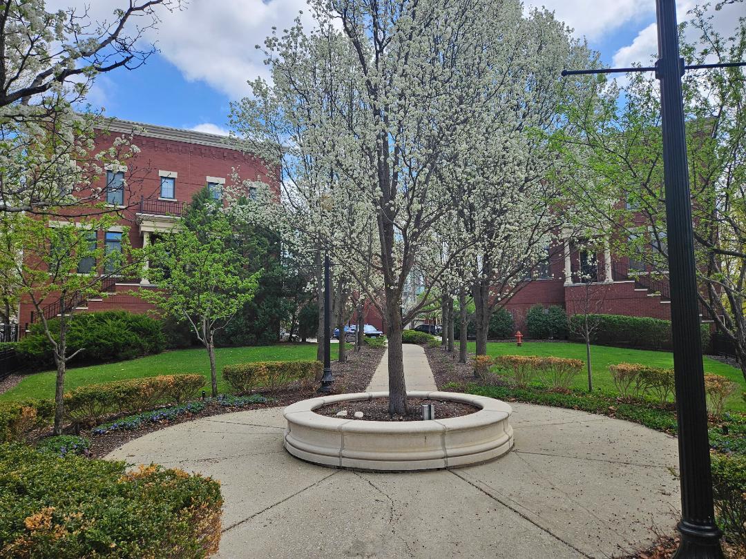 147 River Walk Court Elgin IL 60120