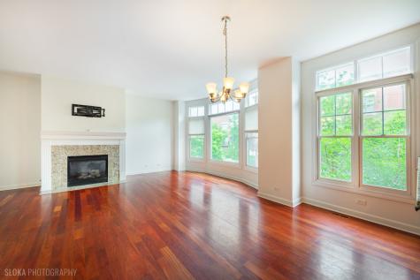 147 River Walk Court Elgin IL 60120