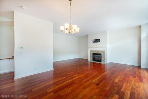147 River Walk Court Elgin IL 60120