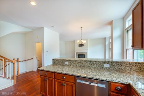 147 River Walk Court Elgin IL 60120