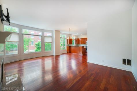 147 River Walk Court Elgin IL 60120