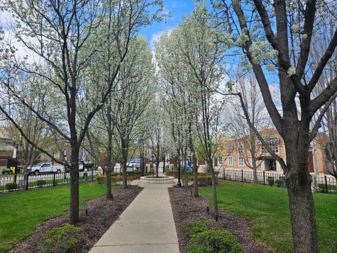 147 River Walk Court Elgin IL 60120