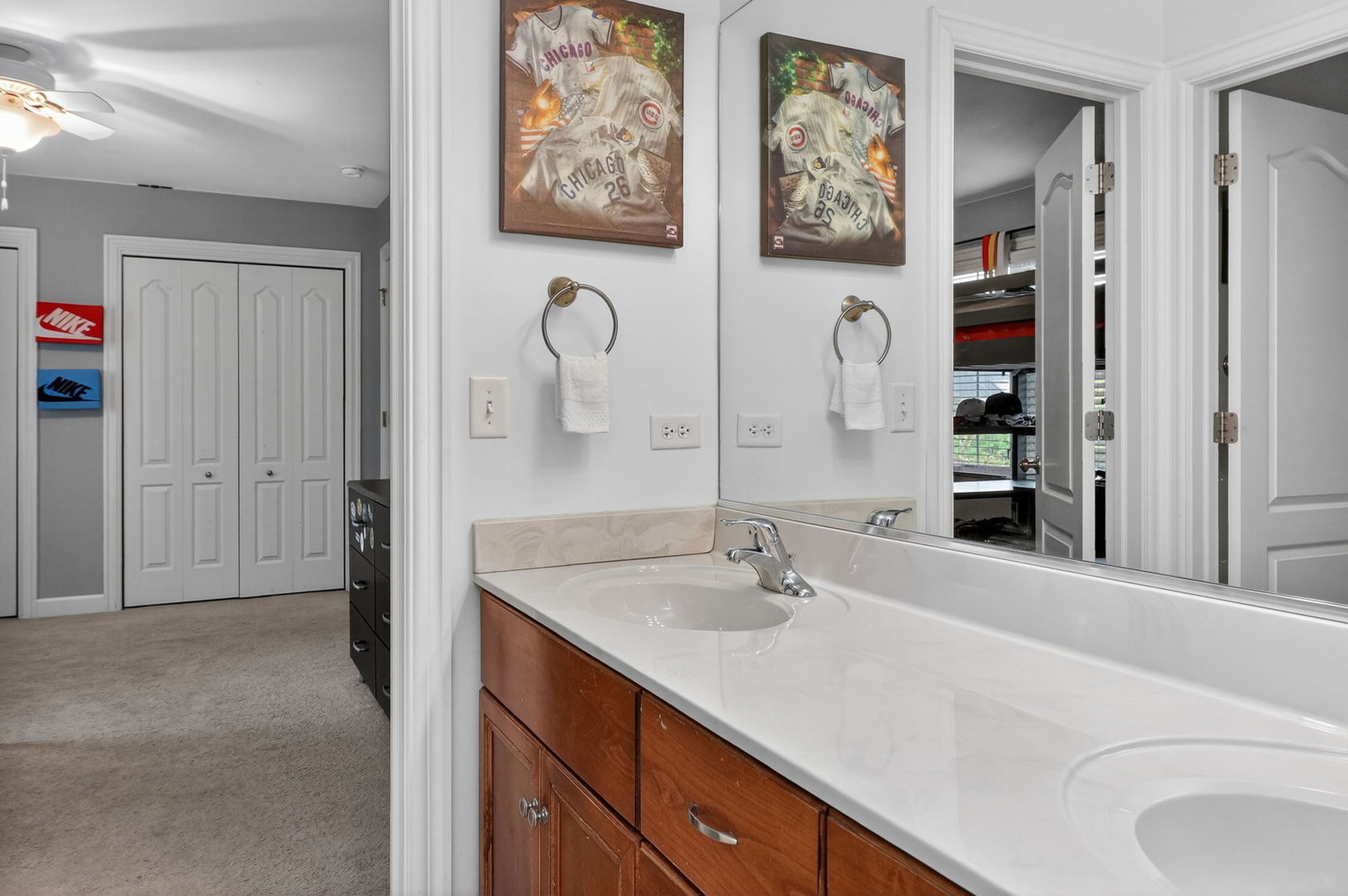 25002 Chalk Hill Circle Plainfield IL 60544