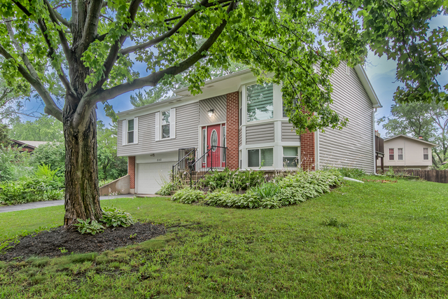 220 Falcon Ridge Way Bolingbrook IL 60440