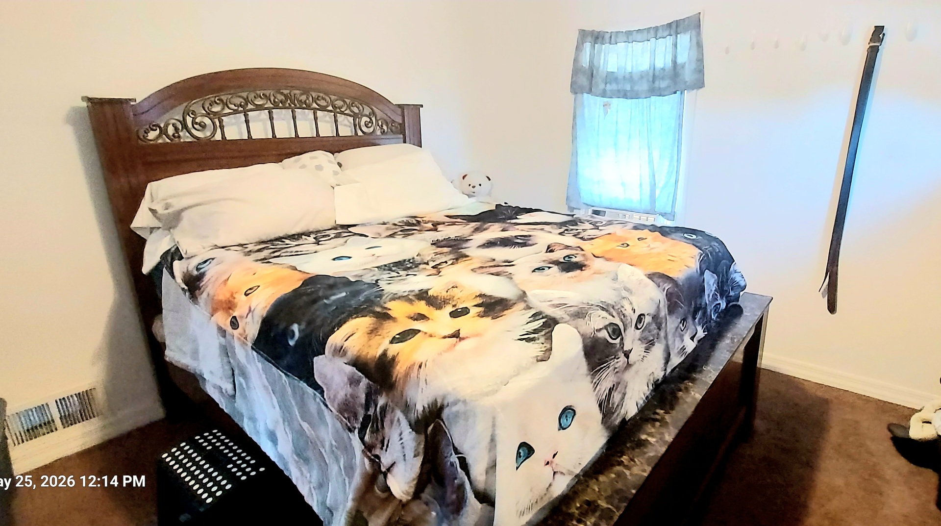 223 North Sumner Avenue Aurora IL 60505