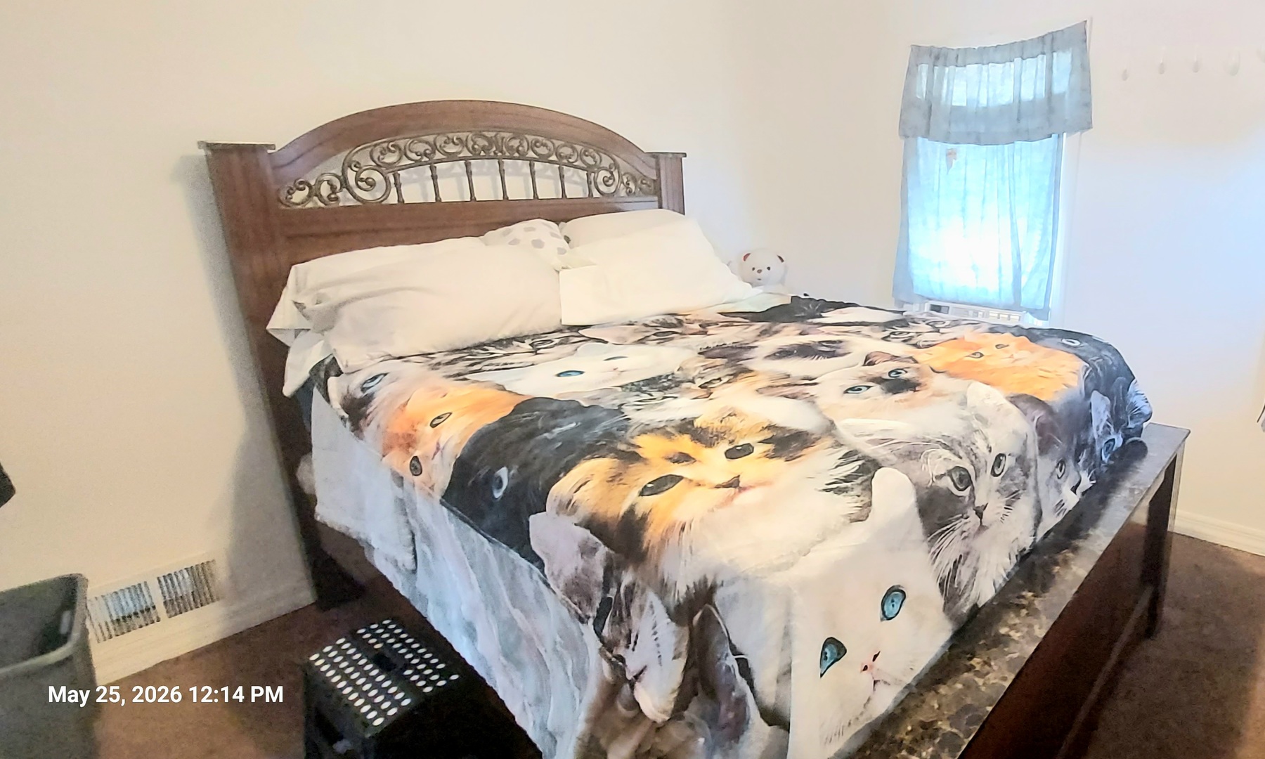 223 North Sumner Avenue Aurora IL 60505
