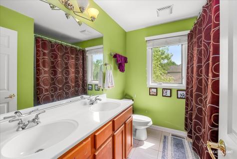 424 Camden Circle Oswego IL 60543