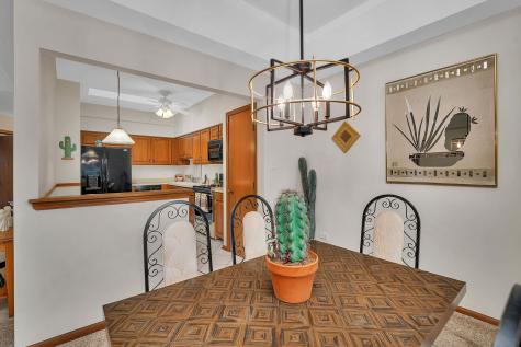 17808 Cameron Parkway Orland Park IL 60467