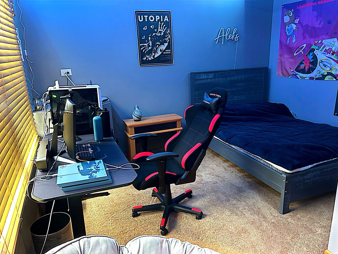 2484 Warwick Court Aurora IL 60503