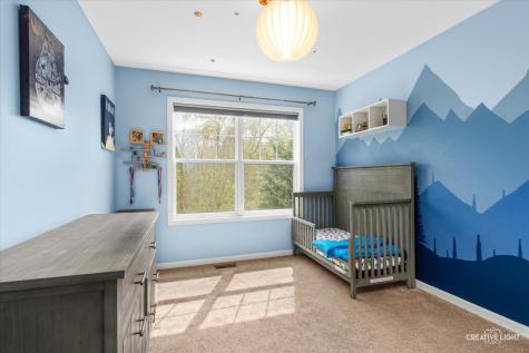 1005 Hummingbird Way Bartlett IL 60103