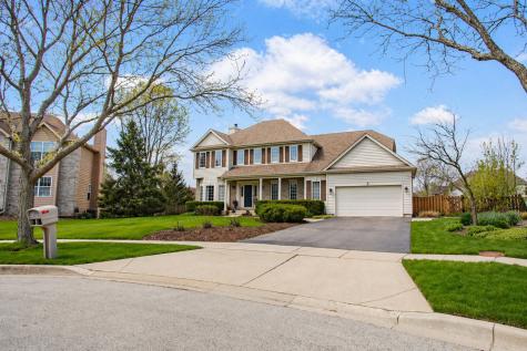 3 Blackwolf Court Algonquin IL 60102