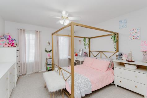 3 Blackwolf Court Algonquin IL 60102