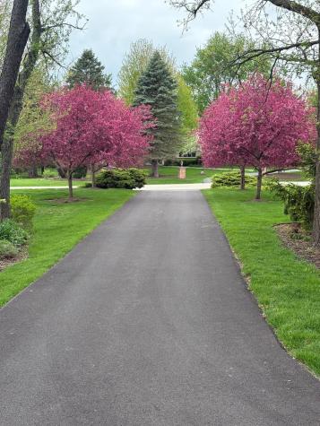 26073 West Laurel Court Wauconda IL 60084