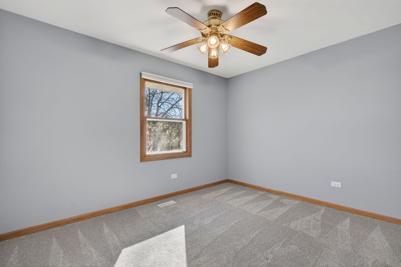 3005 Art Schultz Drive Plainfield IL 60586