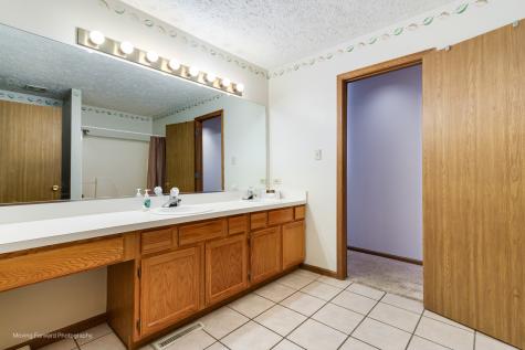 4208 Whitetail Court Joliet IL 60431