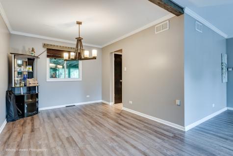 3267 Louise Court Lansing IL 60438