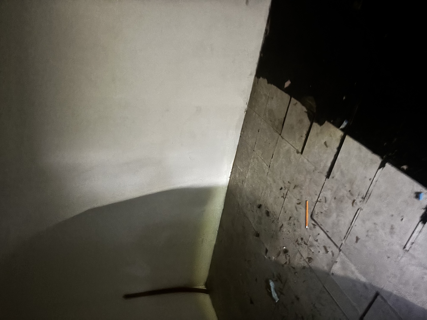 6439 South Bishop Street Chicago IL 60636