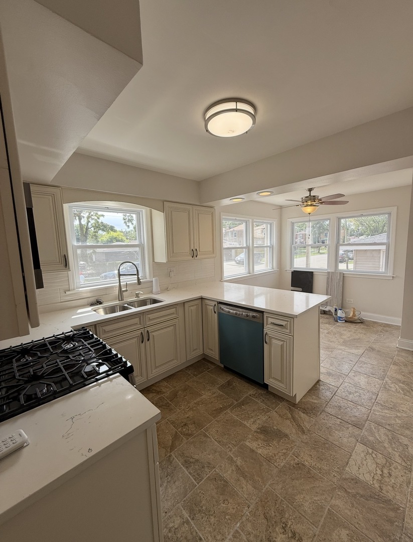 8958 South Oglesby Avenue Chicago IL 60617