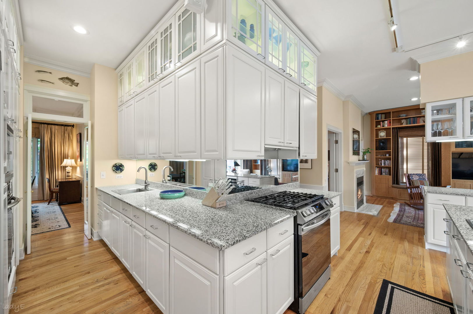 2705 North Bosworth Avenue Chicago IL 60614