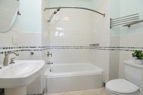 534 North Marion Street Oak Park IL 60302