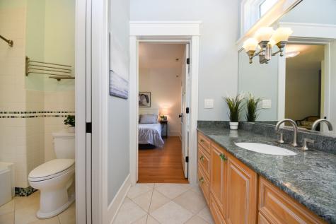 534 North Marion Street Oak Park IL 60302