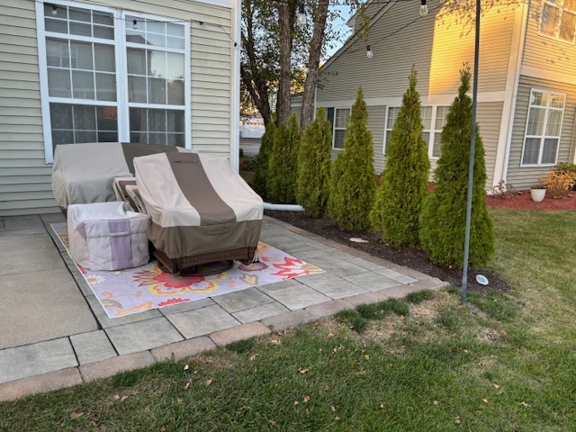 1433 White Pine Lane Bolingbrook IL 60490