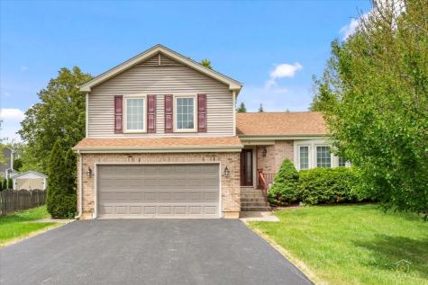 4 Waterbury Court Lake Zurich IL 60047