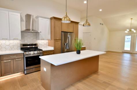 3807 Patricia Lane Richton Park IL 60471