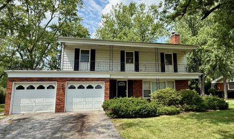 20436 Arcadian Drive Olympia Fields IL 60461