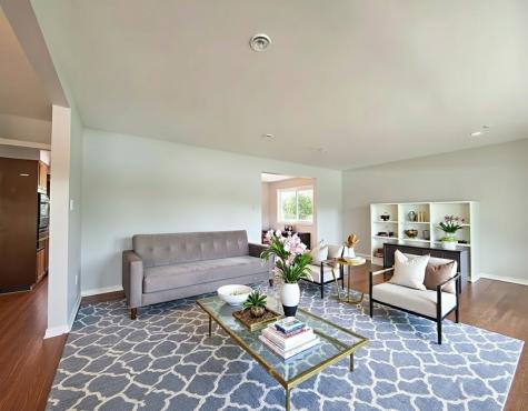 20436 Arcadian Drive Olympia Fields IL 60461