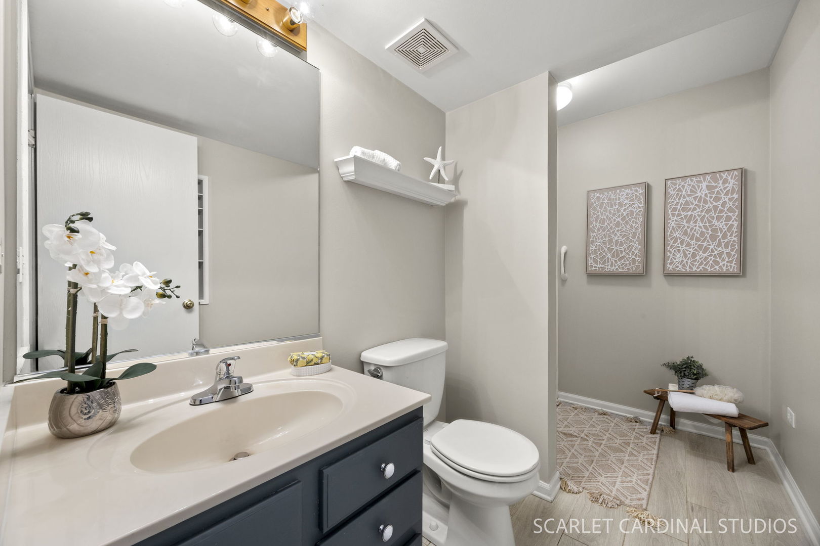 169 Woodlet Lane Bolingbrook IL 60490