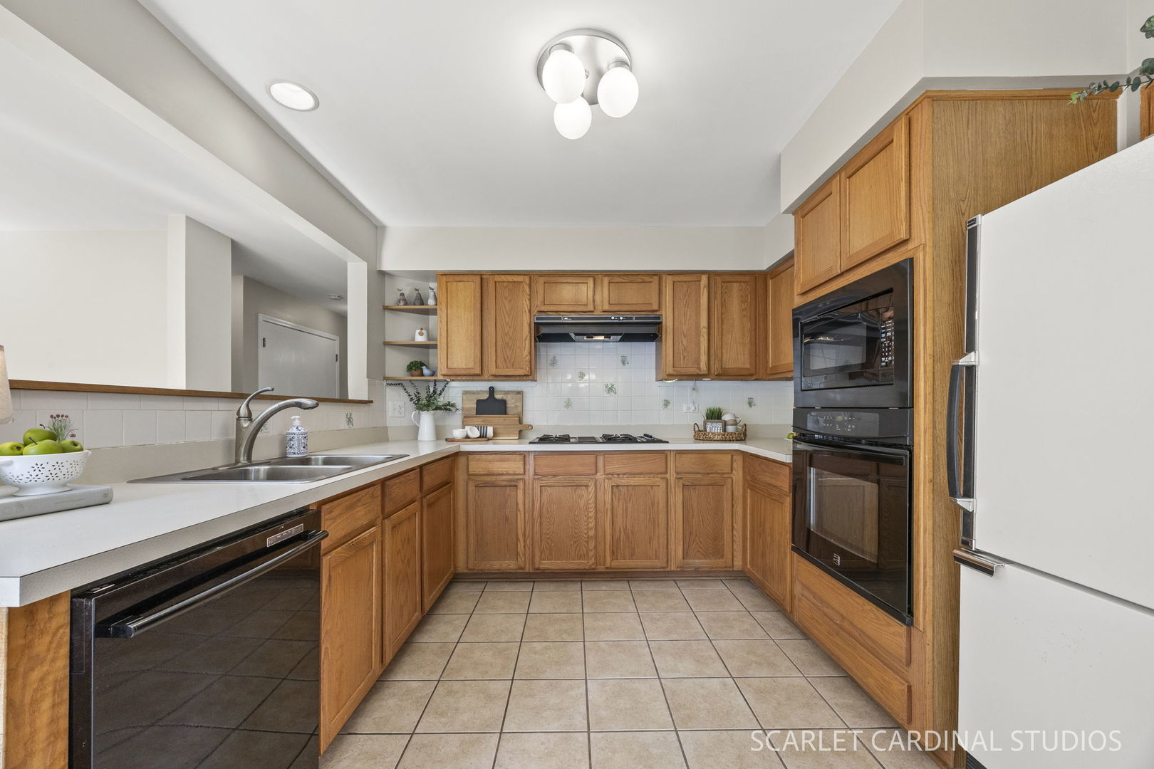 169 Woodlet Lane Bolingbrook IL 60490