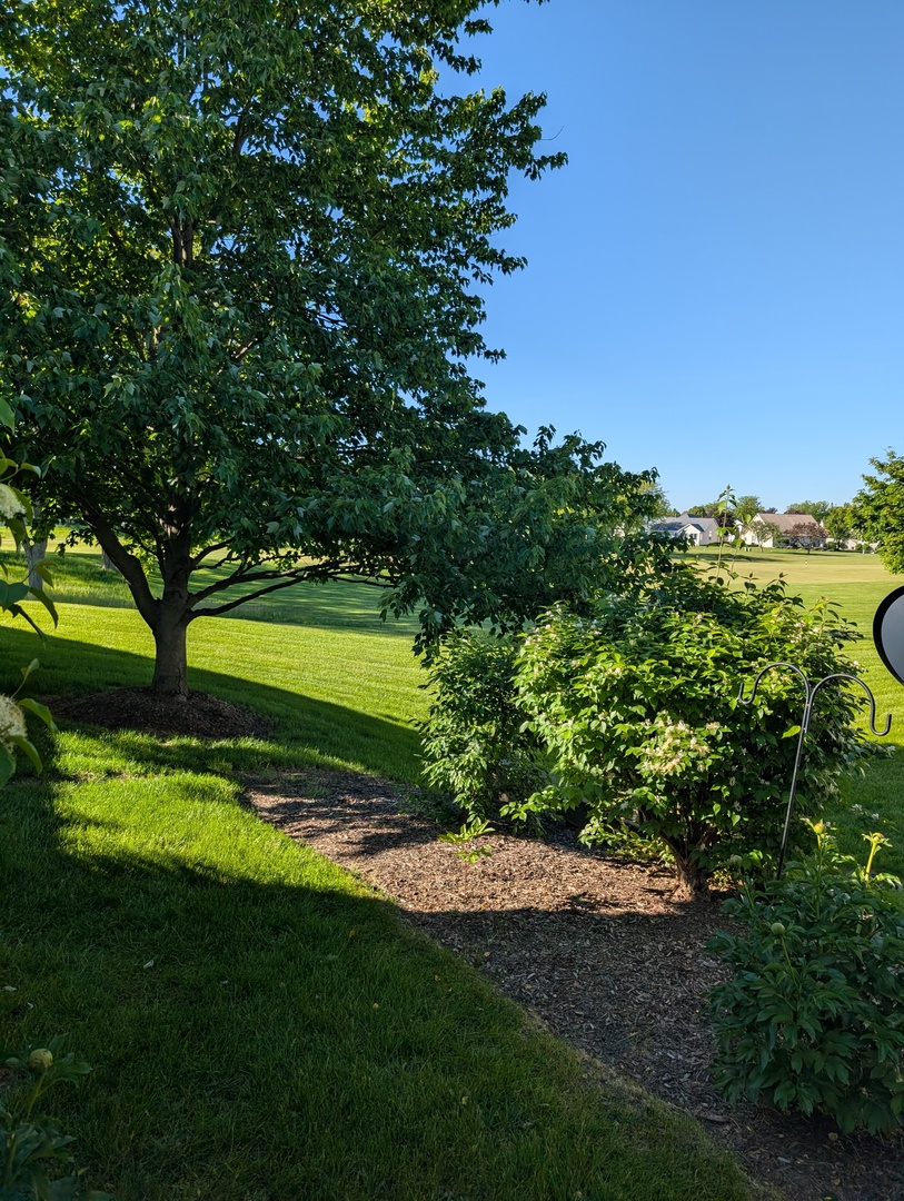 21721 West Empress Lane Plainfield IL 60544