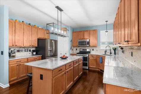 1164 Dorr Drive Sugar Grove IL 60554