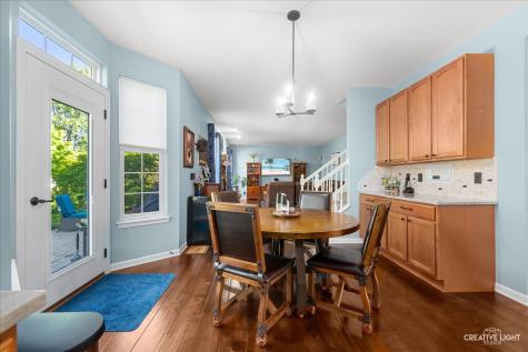 1164 Dorr Drive Sugar Grove IL 60554