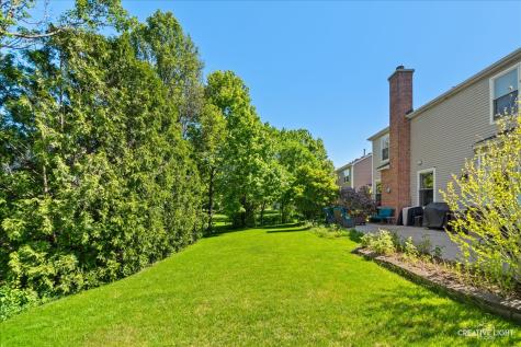 1164 Dorr Drive Sugar Grove IL 60554